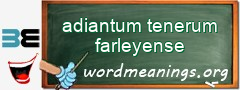 WordMeaning blackboard for adiantum tenerum farleyense